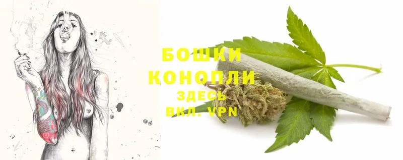 дарнет шоп  shop какой сайт  МАРИХУАНА THC 21%  Иланский 